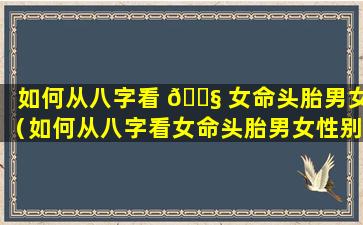 如何从八字看 🐧 女命头胎男女（如何从八字看女命头胎男女性别）